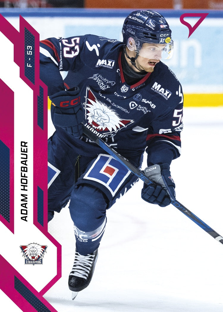 208 LHC ADAM HOFBAUER - PINK