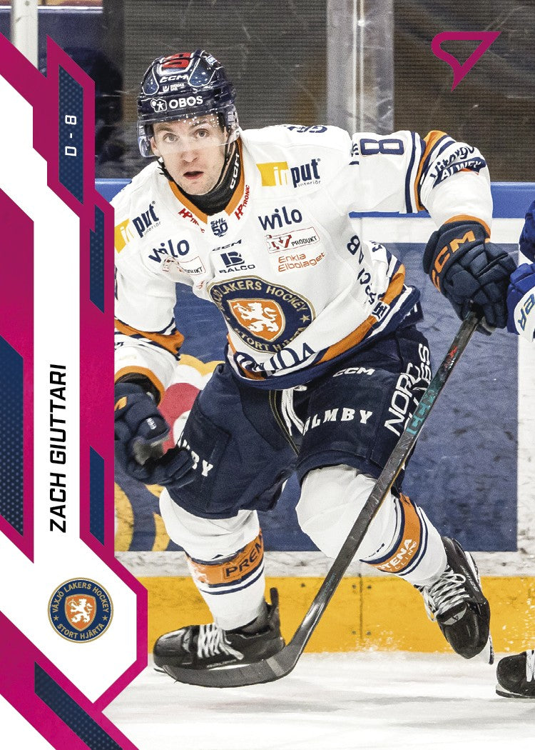 290 VLH Zach Giuttari PINK