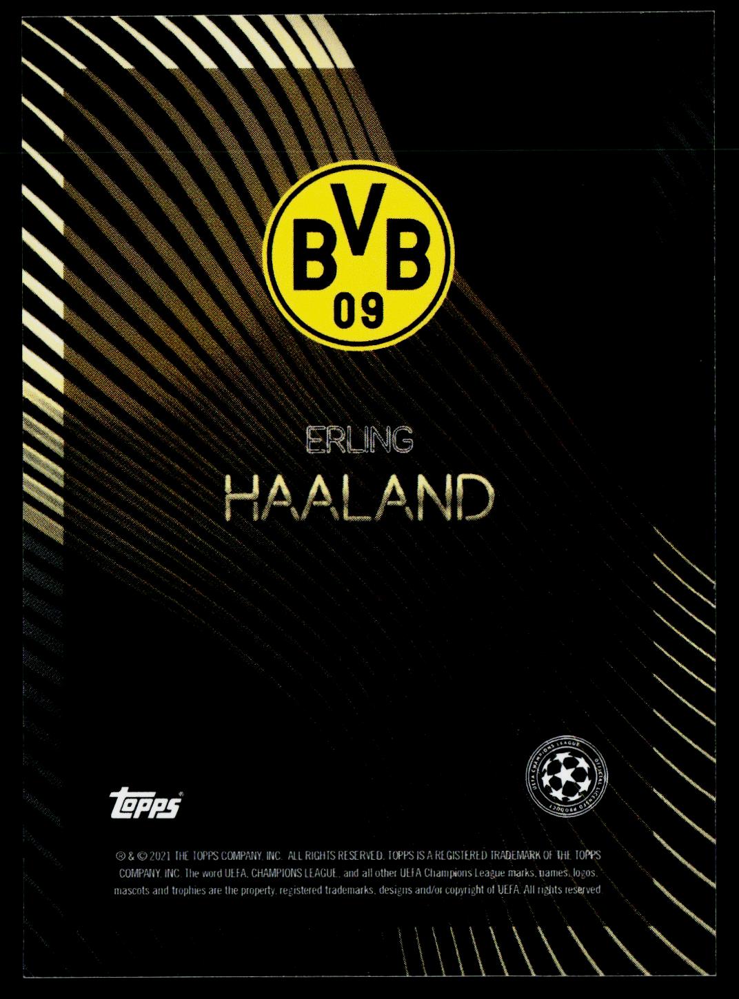 Erling Haaland Borussia Dortmund