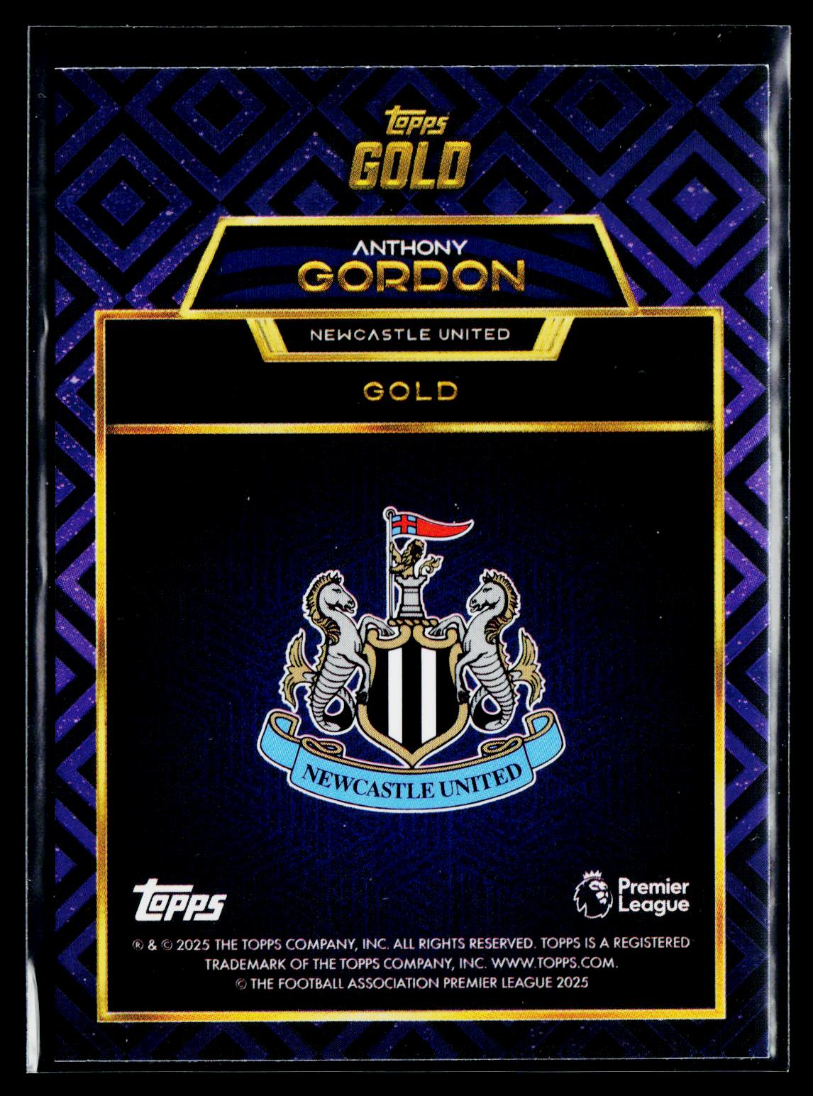 Antony Gordon Newcastle United