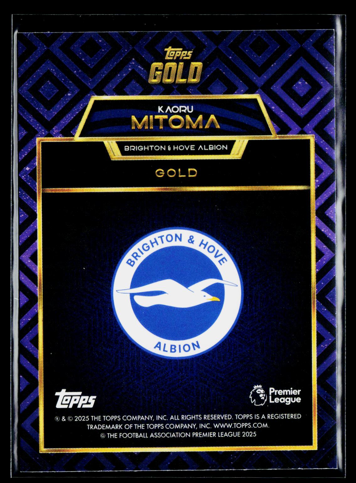 Kaoru Mitoma Brighton & Hove Albion