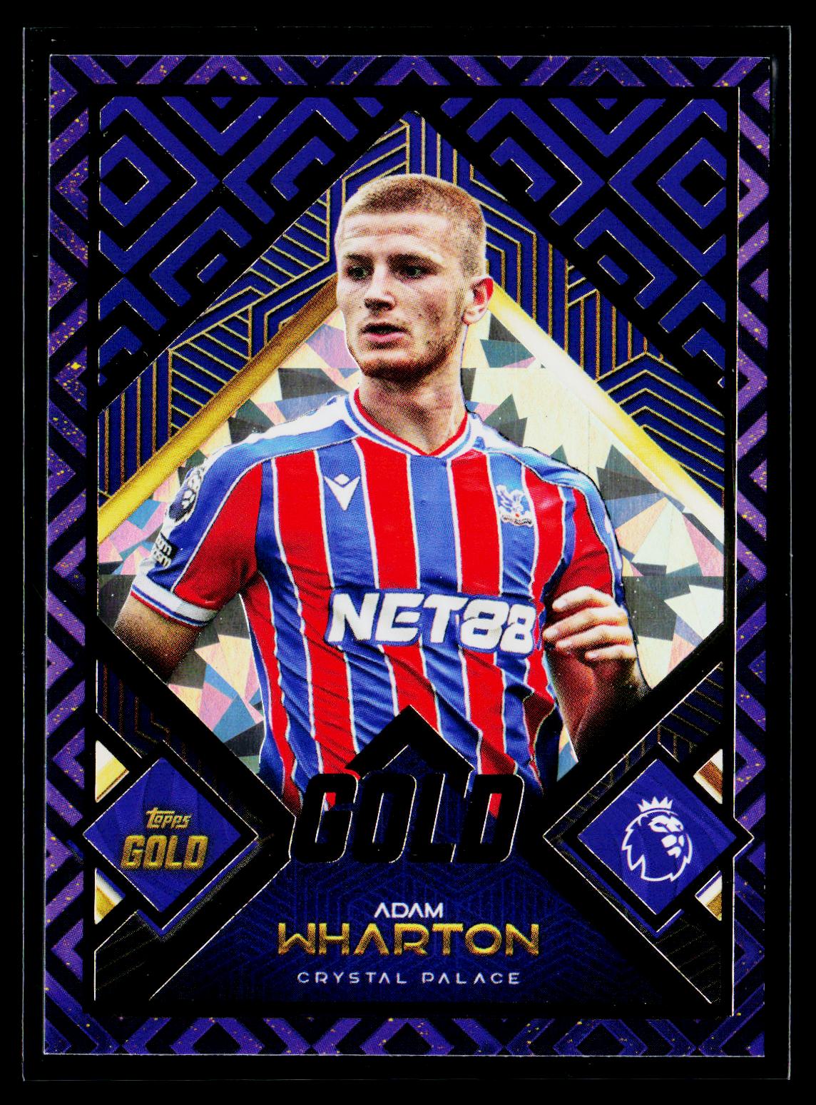 Adam Wharton Crystal Palace