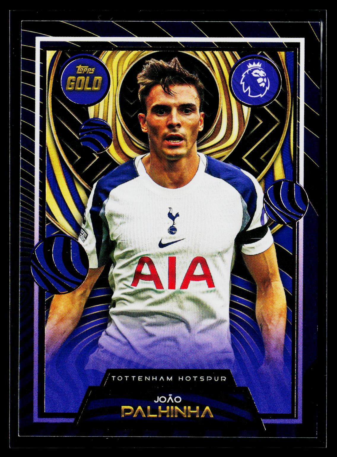 Joao Palhinha Tottenham Hotspur