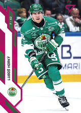 157 RBK LUBOŠ HORKÝ - PINK