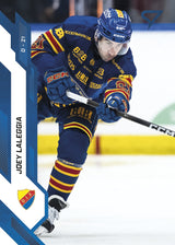 238 DIF JOEY LALEGGIA - BLUE