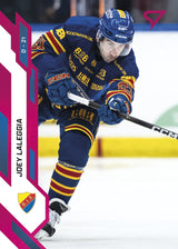 238 DIF JOEY LALEGGIA - PINK