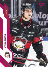 296 MIF Felix Carell PINK