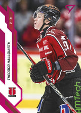308 ÖRE Theodor Hallquisth PINK