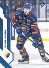 339 DIF David Blomgren BLUE