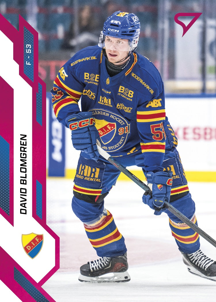 339 DIF David Blomgren PINK