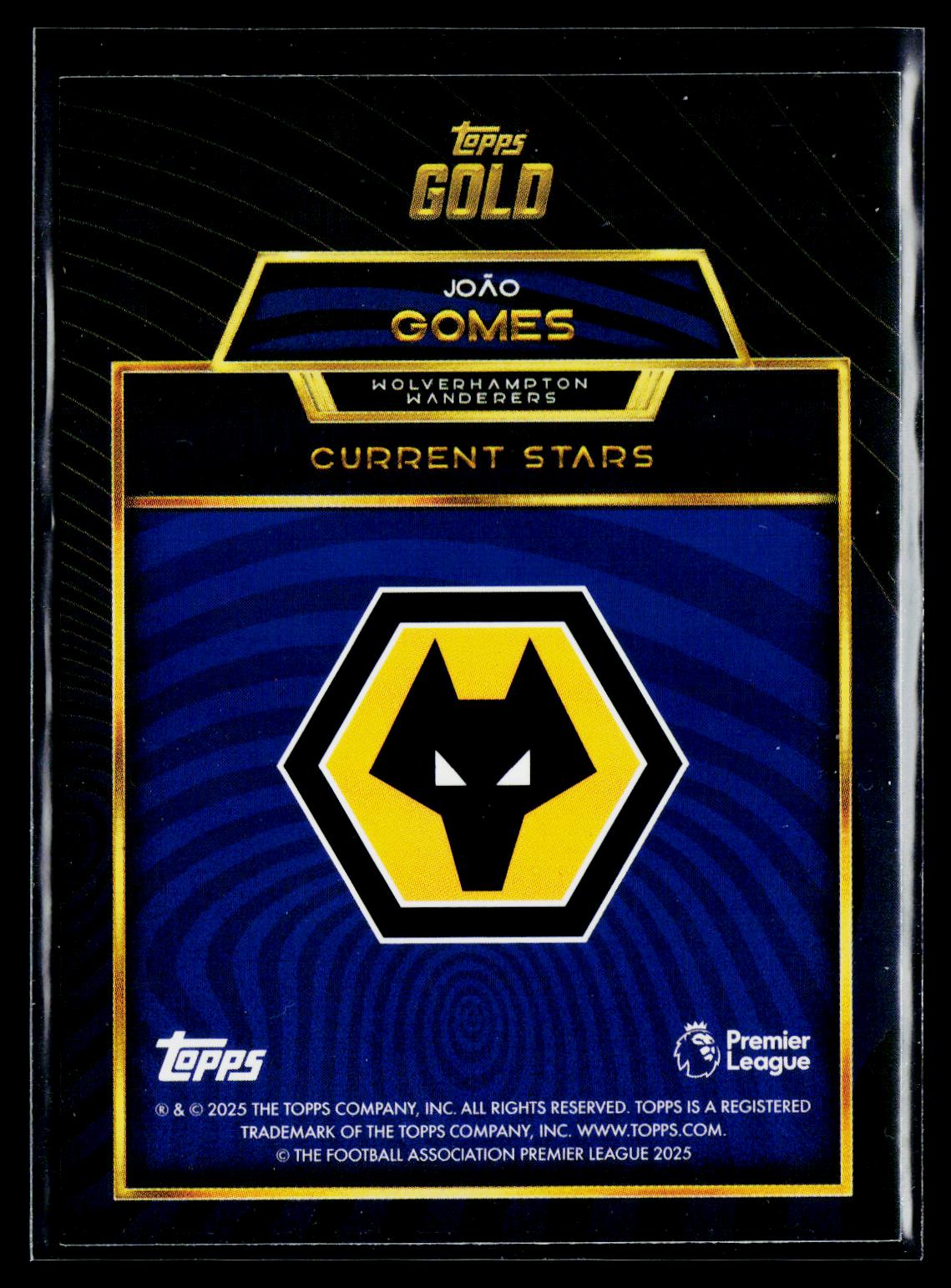 Joao Gomes Wolverhampton