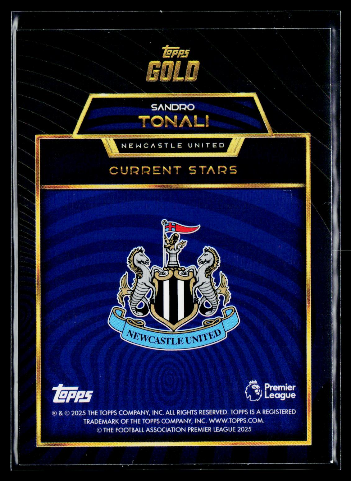 Sandro Tonali Newcastle