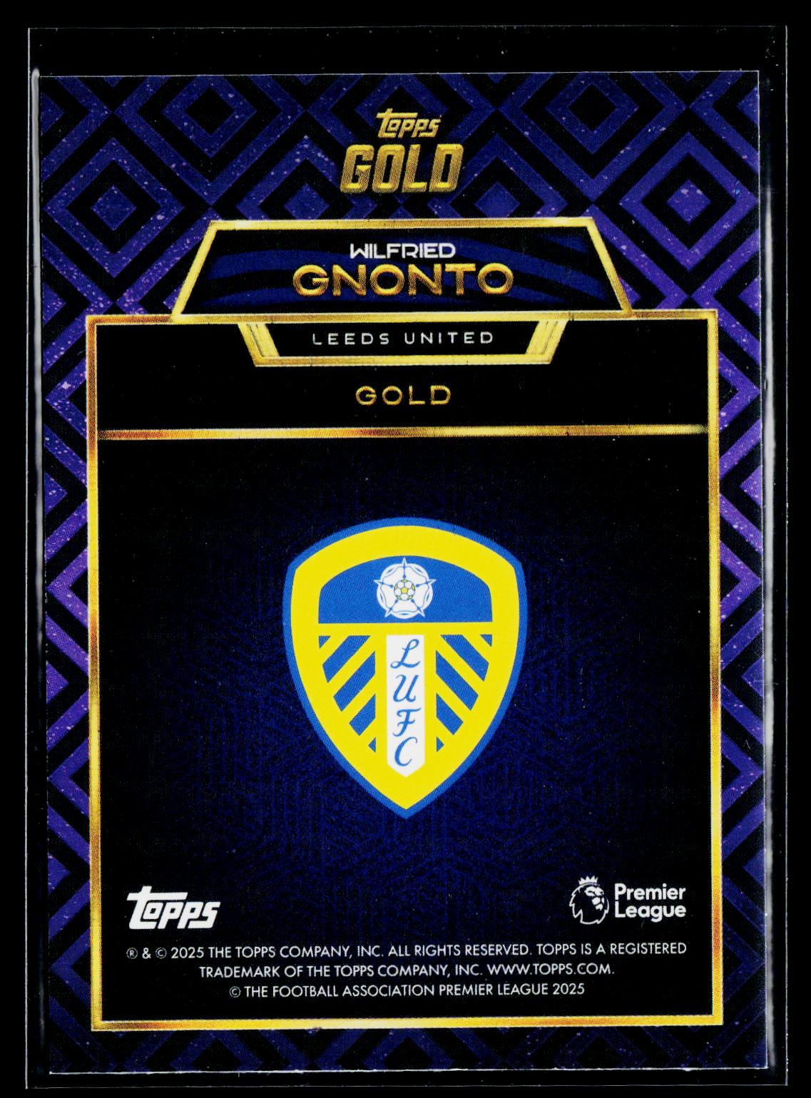 Wilfried Gnonto Leeds United