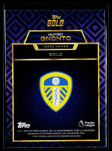 Wilfried Gnonto Leeds United