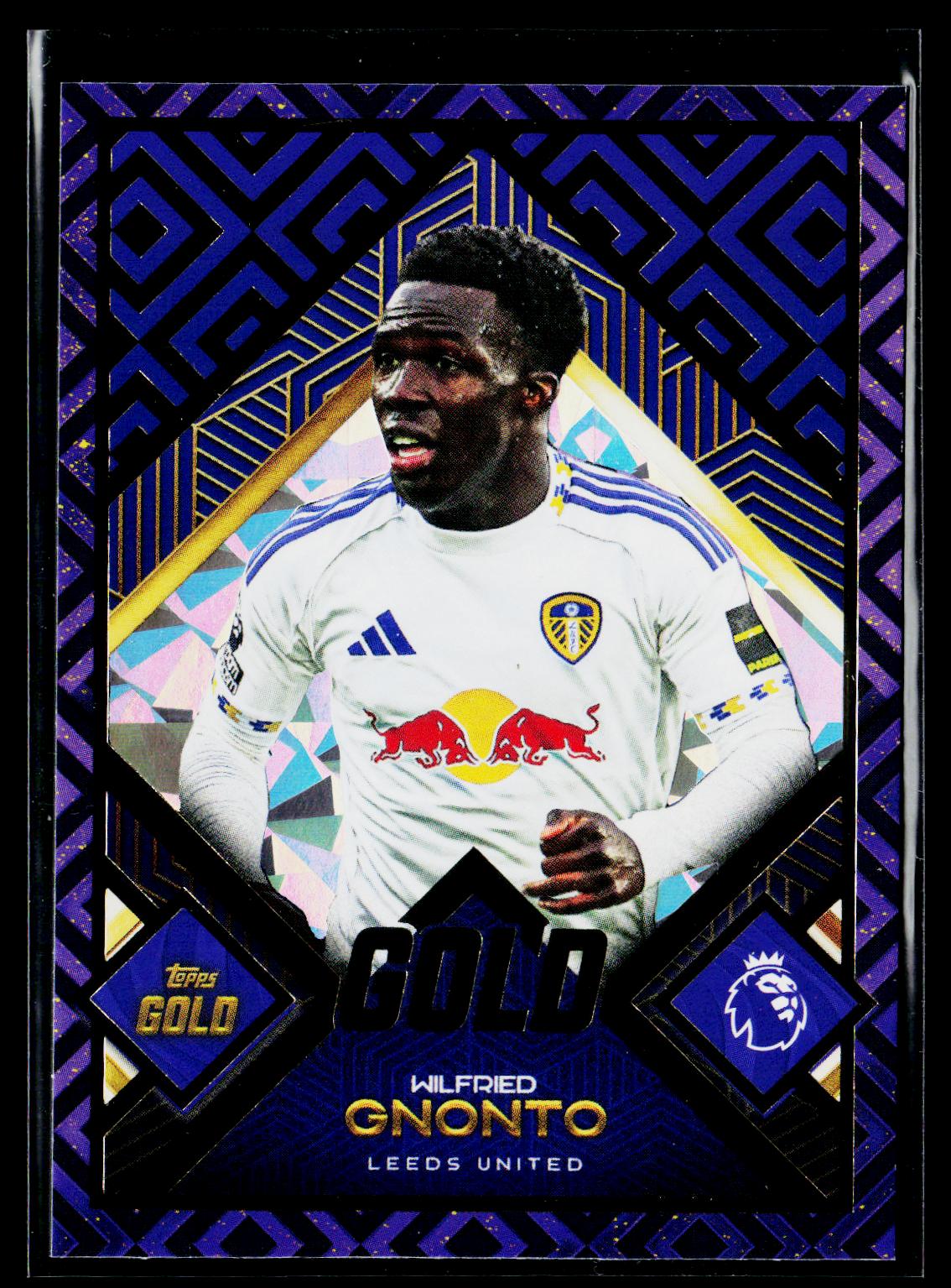 Wilfried Gnonto Leeds United