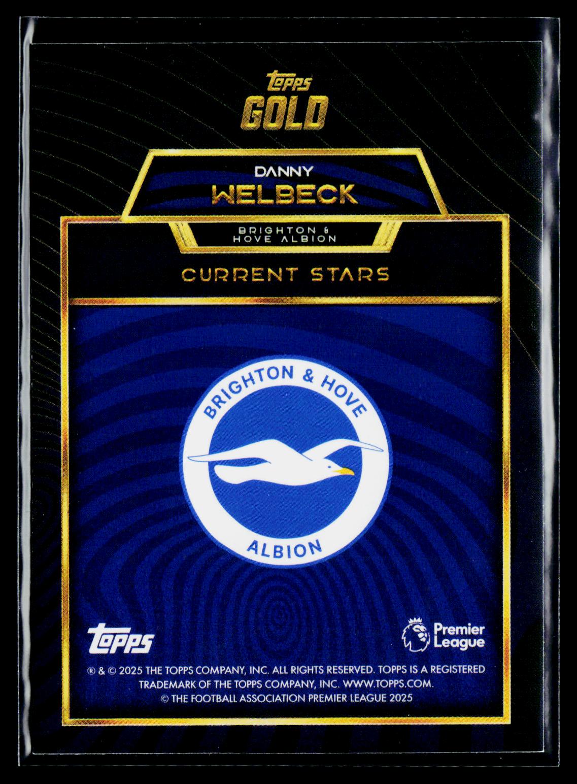 Danny Welbeck Brighton & Hove Albion