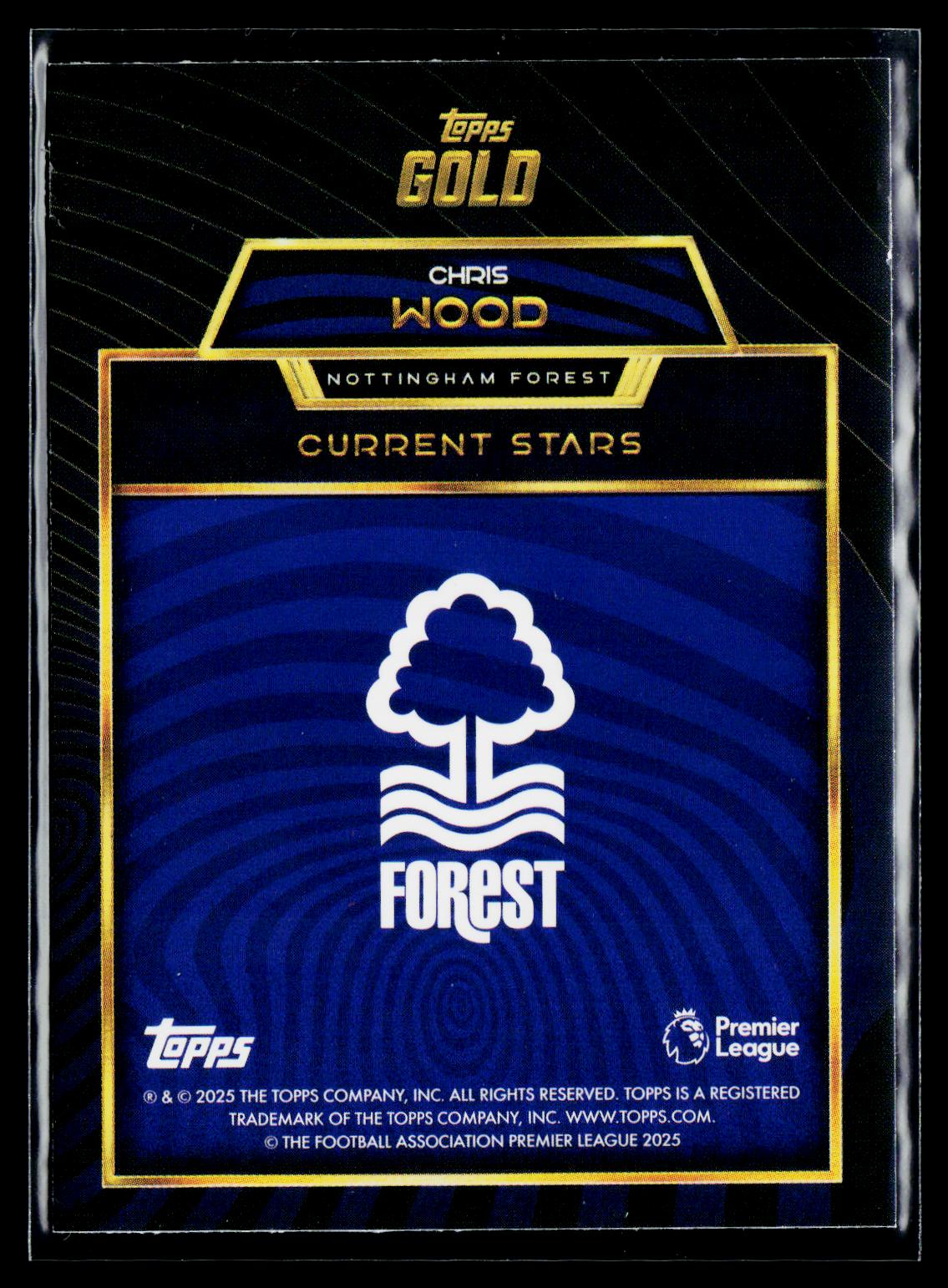 Chris Wood Nottingham Forest