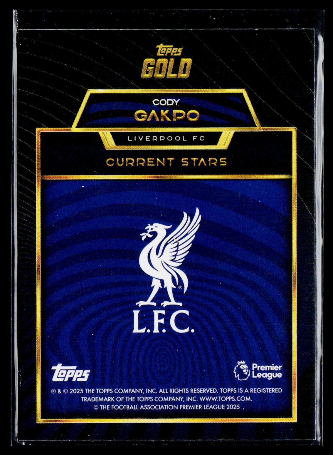Cody Gakpo Liverpool