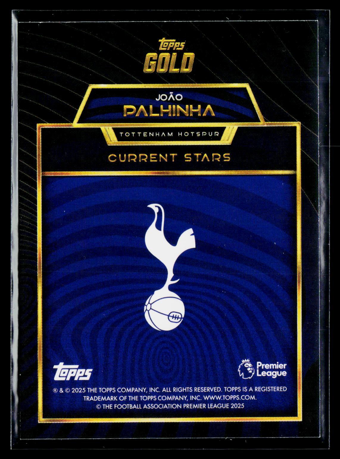 Joao Palhinha Tottenham Hotspur