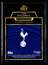 Joao Palhinha Tottenham Hotspur