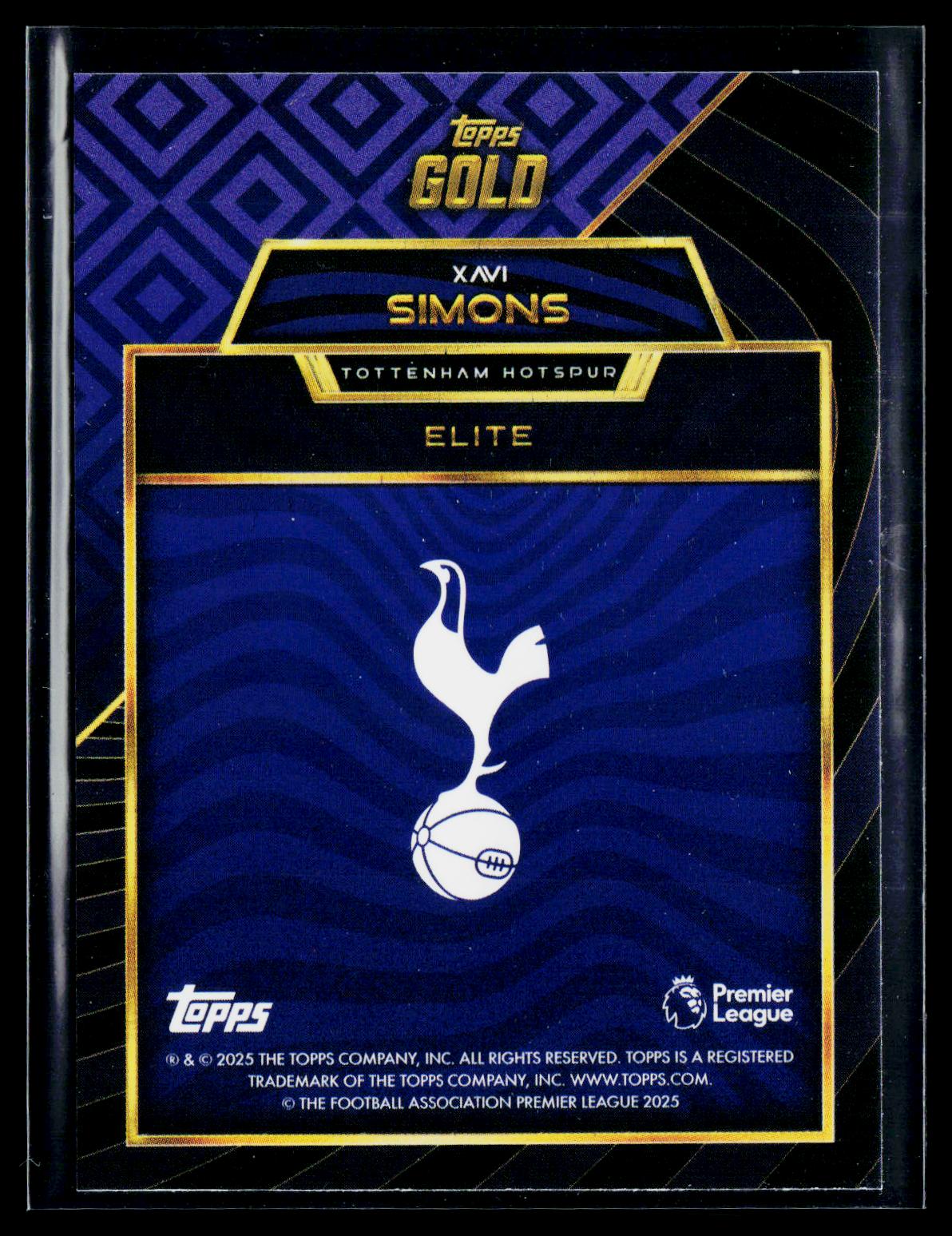 Xavi Simons Tottenham Hotspur
