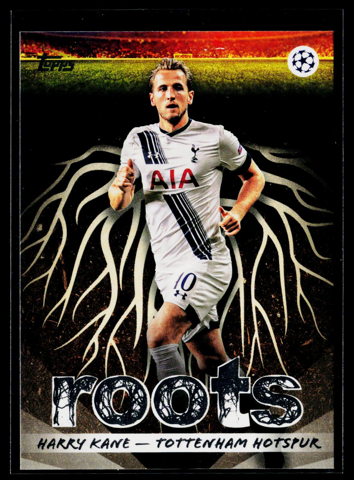 Harry Kane Tottenham Hotspur