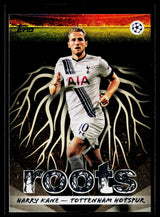 Harry Kane Tottenham Hotspur