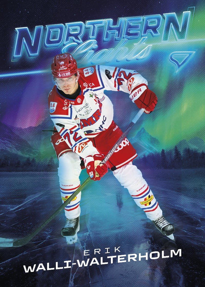 NL-19 TIK Erik Walli-Walterholm NORTHERN LIGHTS