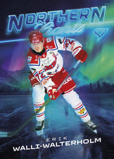 NL-19 TIK Erik Walli-Walterholm NORTHERN LIGHTS