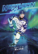 NL-33 LIF Arvid Eljas NORTHERN LIGHTS